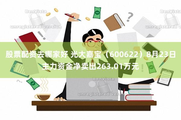 股票配资去哪家好 光大嘉宝（600622）8月23日主力资金净卖出263.01万元