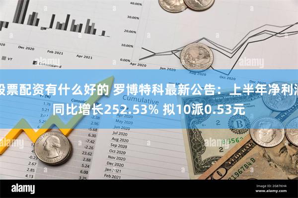 股票配资有什么好的 罗博特科最新公告：上半年净利润同比增长252.53% 拟10派0.53元