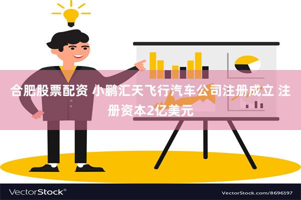 合肥股票配资 小鹏汇天飞行汽车公司注册成立 注册资本2亿美元