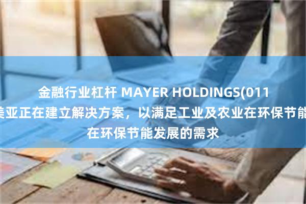 金融行业杠杆 MAYER HOLDINGS(01116)：广州美亚正在建立解决方案，以满足工业及农业在环保节能发展的需求