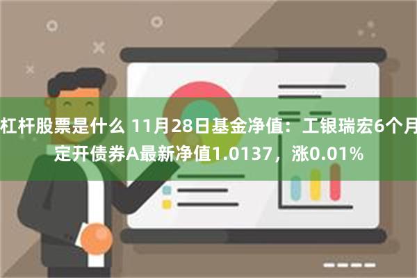 杠杆股票是什么 11月28日基金净值：工银瑞宏6个月定开债券A最新净值1.0137，涨0.01%