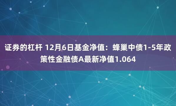 证券的杠杆 12月6日基金净值：蜂巢中债1-5年政策性金融债A最新净值1.064