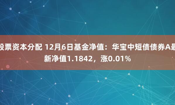 股票资本分配 12月6日基金净值：华宝中短债债券A最新净值1.1842，涨0.01%