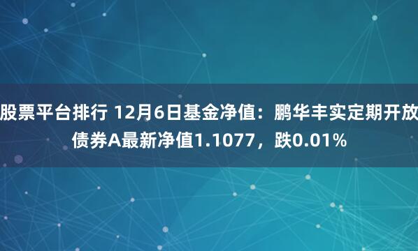 股票平台排行 12月6日基金净值：鹏华丰实定期开放债券A最新净值1.1077，跌0.01%