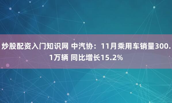 炒股配资入门知识网 中汽协：11月乘用车销量300.1万辆 同比增长15.2%