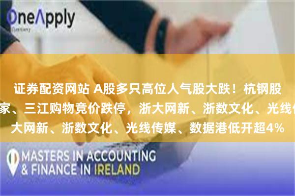 证券配资网站 A股多只高位人气股大跌！杭钢股份、梦网科技、居然智家、三江购物竞价跌停，浙大网新、浙数文化、光线传媒、数据港低开超4%